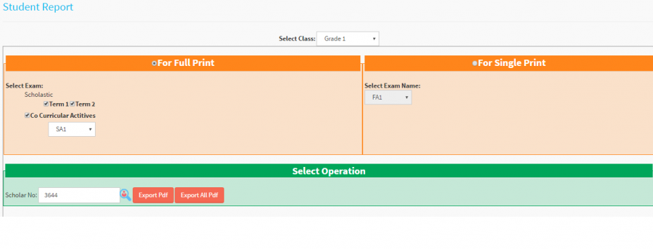 student report